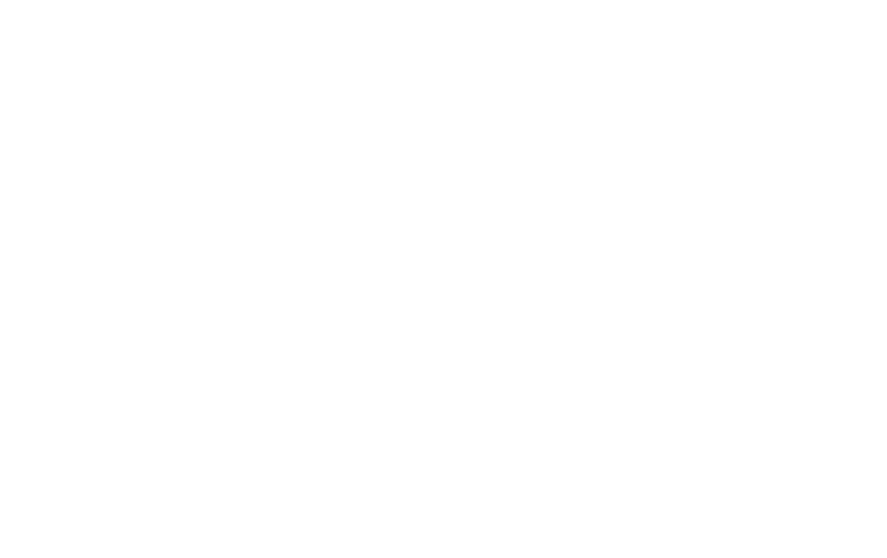MSI USA Logo