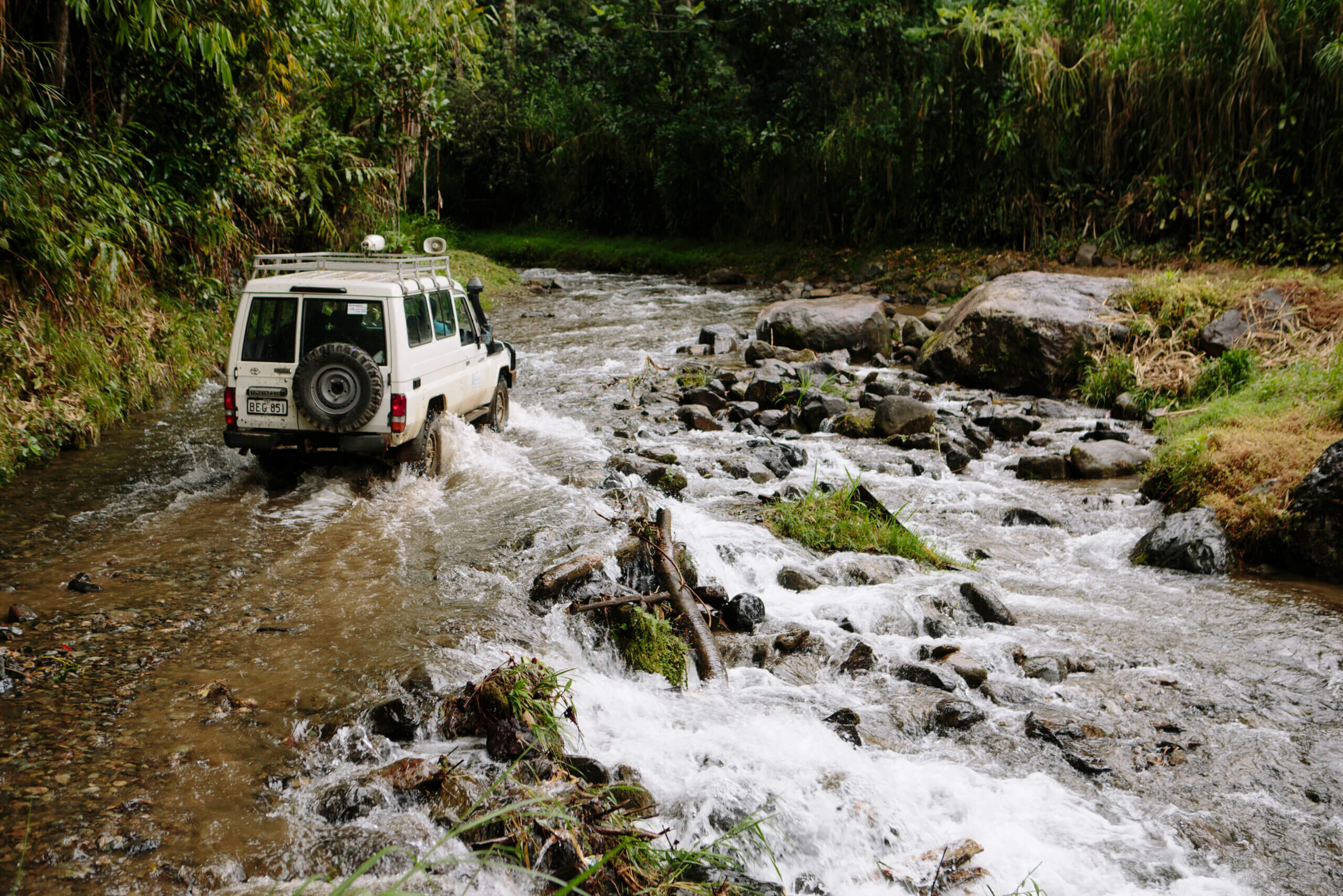 “Out of stock”? How MSI keeps choice in reach 